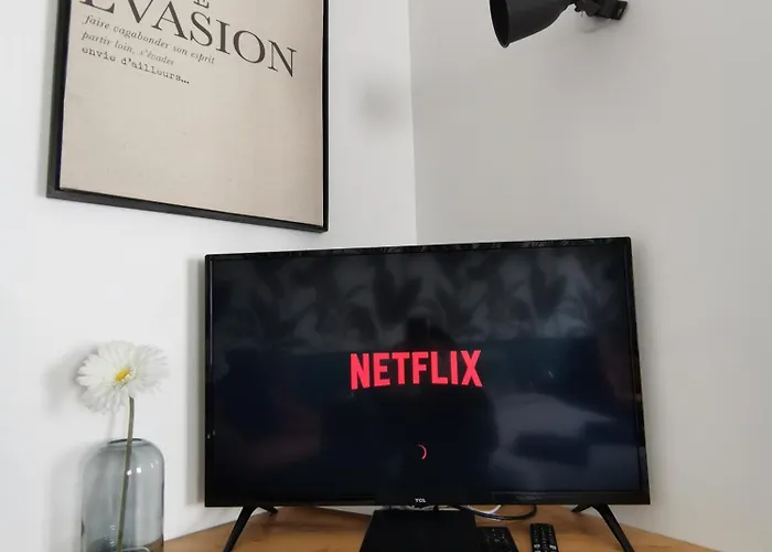 Jungle Studio Gex - Ski - Netflix