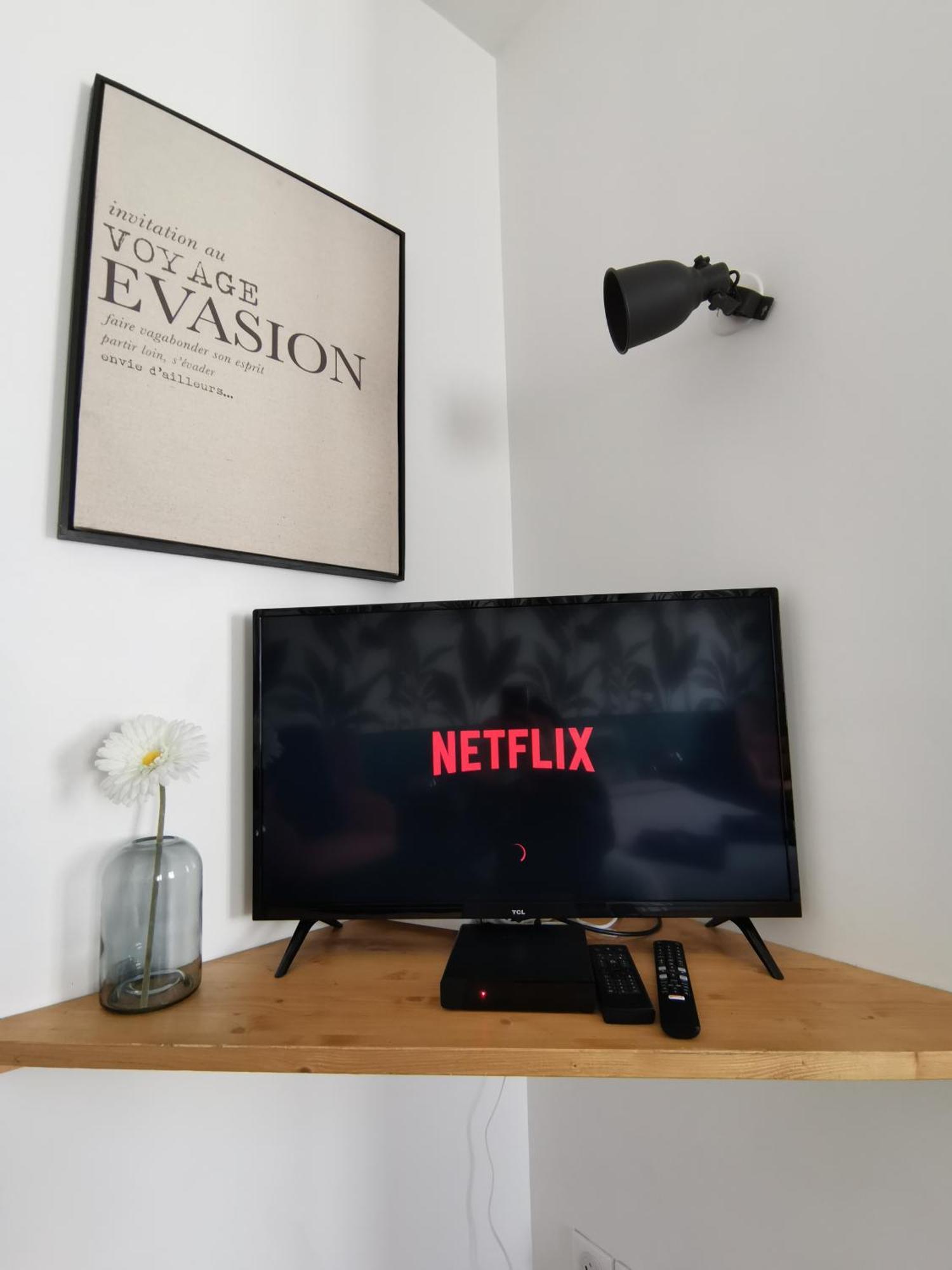 Apartment Jungle - - Netflix Gex